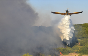 Σε ύφεση φωτιά στα ορεινά των Φαρσάλων